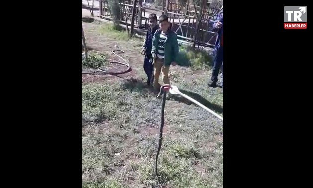 Okul bahçesine giren 1,5 metrelik yılanı itfaiye ekibi yakaladı