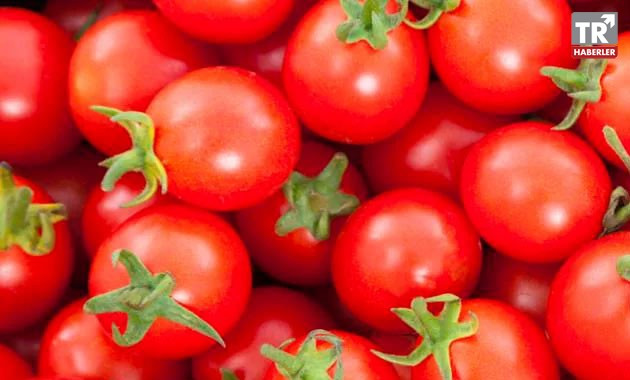 Rusya beş Türk şirketinden daha domates ithalat izni verdi