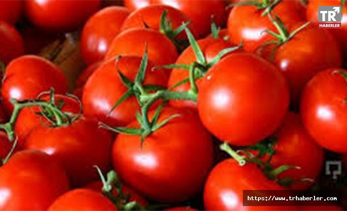 Rusya Türk domatesine olan yasağı tamamen kaldırıyor
