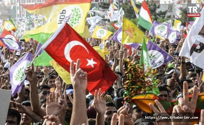 Seçim 2018: HDP'nin stratejisi ne olacak?