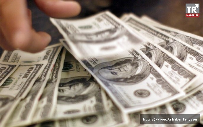 Dolar nasıl durur? Ekonomist Dani Rodrik 3 yol var diyor