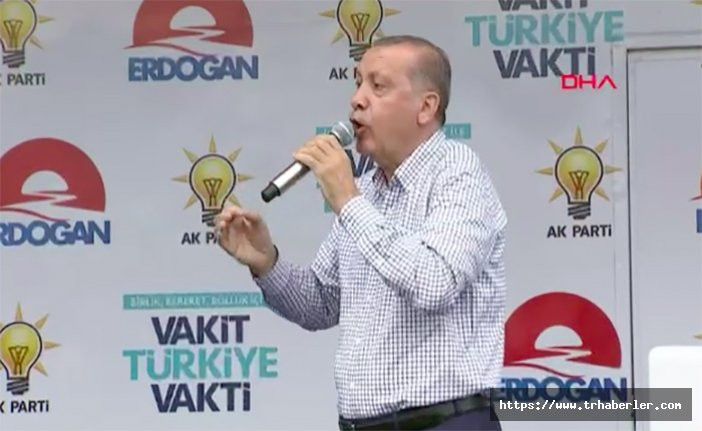 Cumhurbaşkanı Erdoğan'dan Sakarya'da yaşanan köpek vahşetine tepki