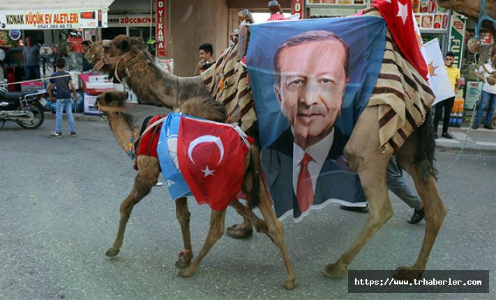 Develeriyle dolaşıp, Erdoğan'a destek istiyor!