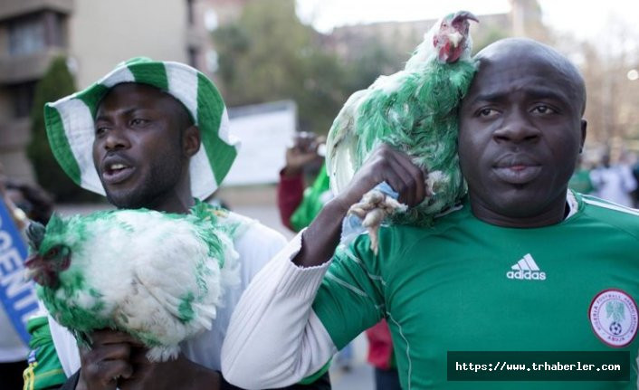 Dünya Kupası'nda maça canlı tavuk götürmek isteyen Nijeryalı taraftarlara ret