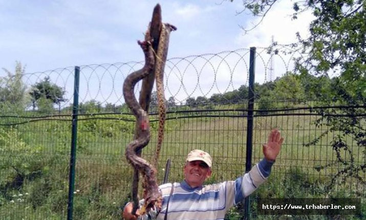 Efsane '5 metrelik yılanı' vurduğunu iddia etti