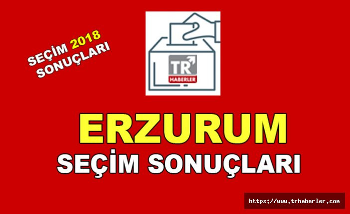 Erzurum seçim sonuçları - Seçim 2018 sonuçları sorgula