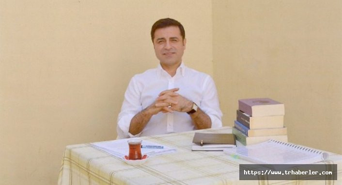HDP'nin cumhurbaşkanı adayı Selahattin Demirtaş TRT'ye çıktı! İşte o konuşama  video izle