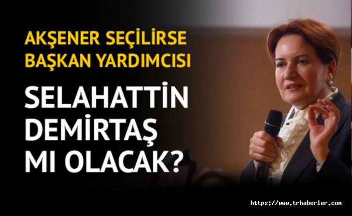 Meral Akşener seçilirse başkan yardımcısı Selahattin Demirtaş mı olacak?