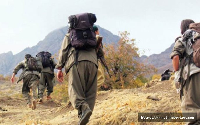 PKK'ya ağır darbe: İkisi gri listede!