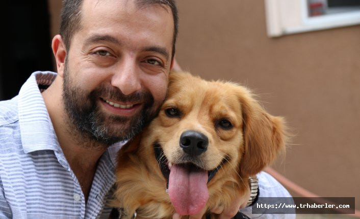 Sakarya’da vahşet Zonguldak’ta köpeğe sevgi