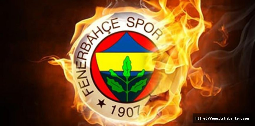 Fenerbahçe'ye bir golcü daha! Benfica maçına yetişecek...