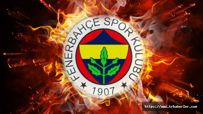 Fenerbahçe'de Mehmet Ekici yine sakatlandı