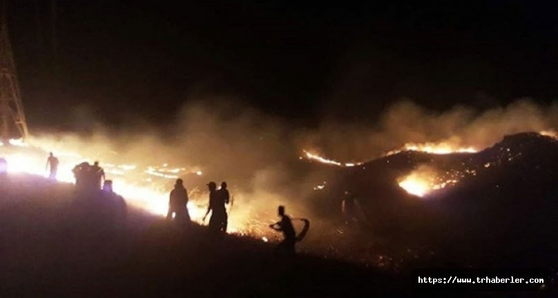 Gürcistan-Ermenistan sınırındaki yangın söndürülemiyor