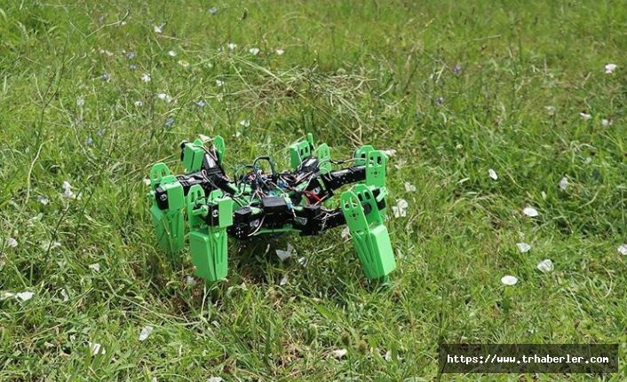 Öğrenciler, askeri operasyonlar için örümcek robot geliştirdi