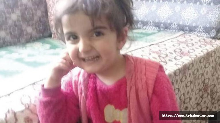 Tokat'ta kaybolan 4 yaşındaki Evrim Ateş her yerde aranıyor