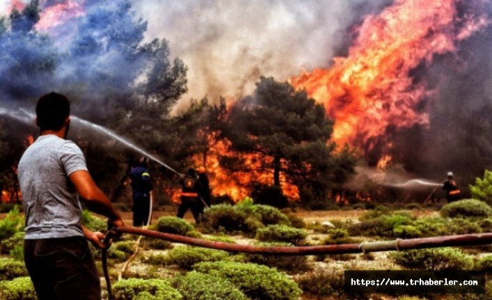 Yunanistan'daki yangın felaketinde kayıp artıyor!