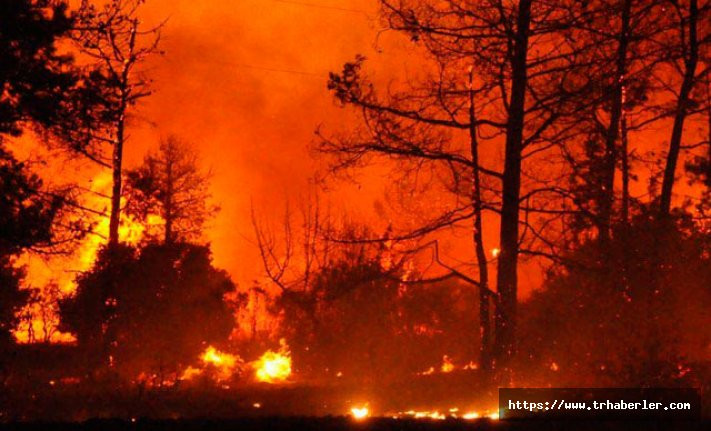 Yunanistan’daki yangında en az 24 kişi yaşamını yitirdi