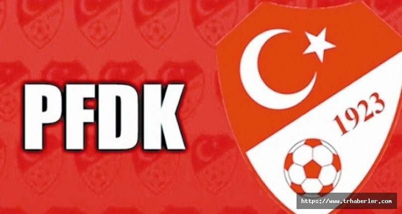 Beşiktaş ve Seleznyov’un cezası onandı