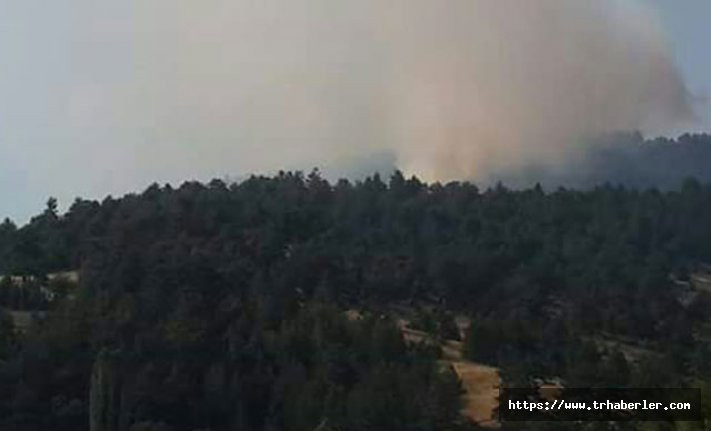 Bursa'nın Orhaneli ilçesinde orman yangını