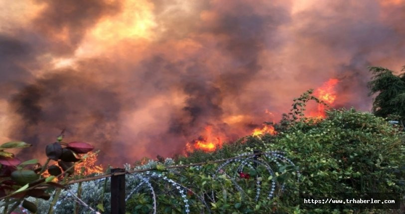 Çanakkale'de yangın
