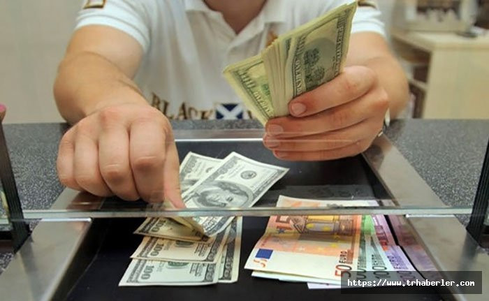 Döviz kurlarında yeni rekor: Dolar/TL'de günlük yükseliş yüzde 4'e yaklaştı