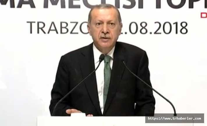 Erdoğan'dan sert sözler! "Oyununuzu gördük ve meydan okuyoruz"