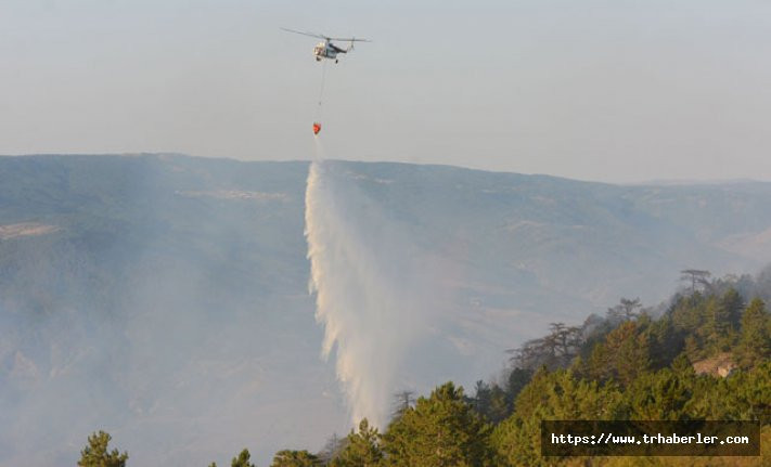 Kastamonu'daki orman yangını 18 saatte söndürüldü, 20 hektar yandı
