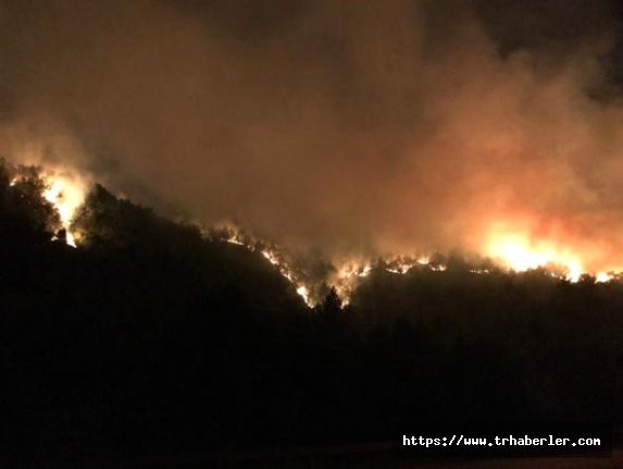 Sivas'ta, orman yangını! Yerleşim yerleri tehdit altında