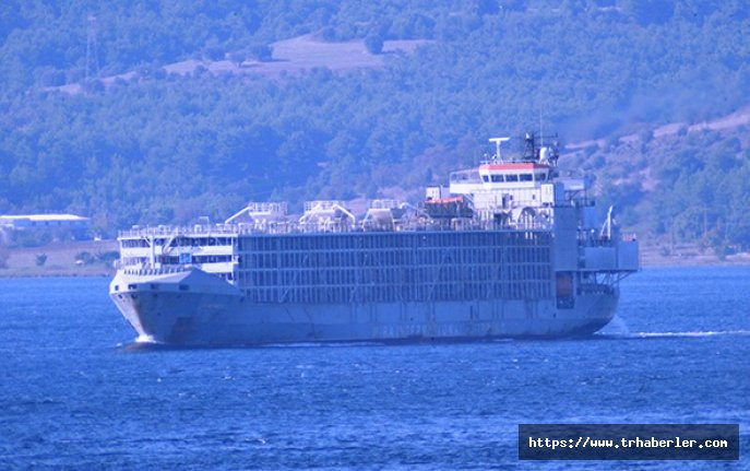 Şarbon iddiasına sebep olan gemi Çanakkale’den geçti!