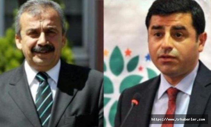 Selahattin Demirtaş ve Sırrı Süreyya Önder'e hapis cezası