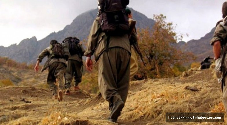 Elazığ'da PKK'lı bir terörist yakalandı