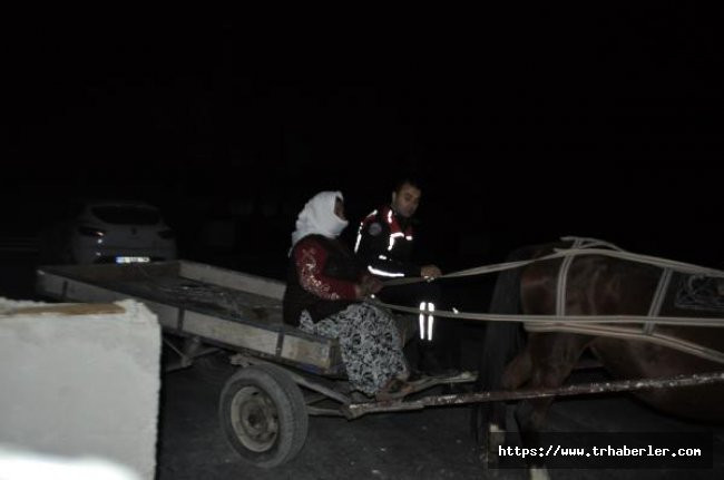 Kadın hırsızlar at arabasıyla gözaltına alındılar!