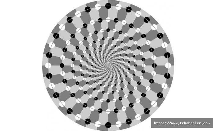 Resimdeki gizli detayı görebildiniz mi? Optik illüzyonlar beyninizle adeta alay edecek...