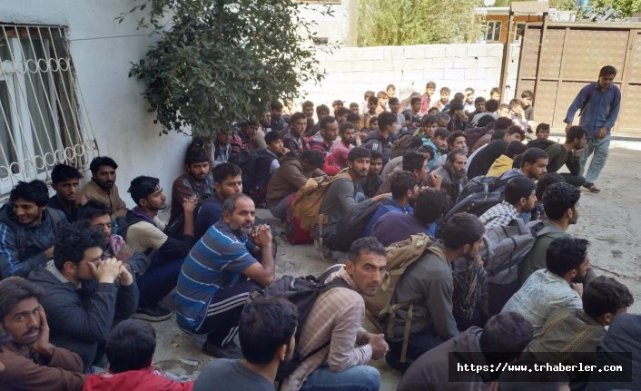 Van'da kaçak göçmenler yakalandı