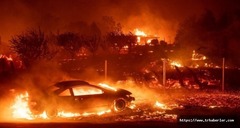 ABD'de dehşet veren orman yangını!