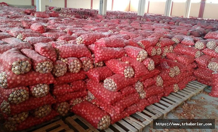 Ankara'da depodan stoklanmış 1300 ton kuru soğan çıktı