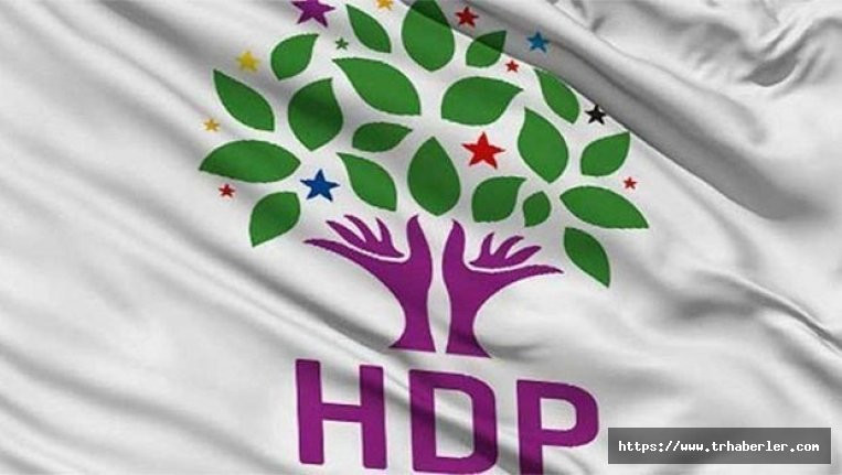 HDP'li milletvekili Mahmut Toğrul'a 2 yıl 6 ay hapis
