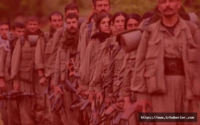 Terör örgütü PKK'da kadın-erkek kavgası!