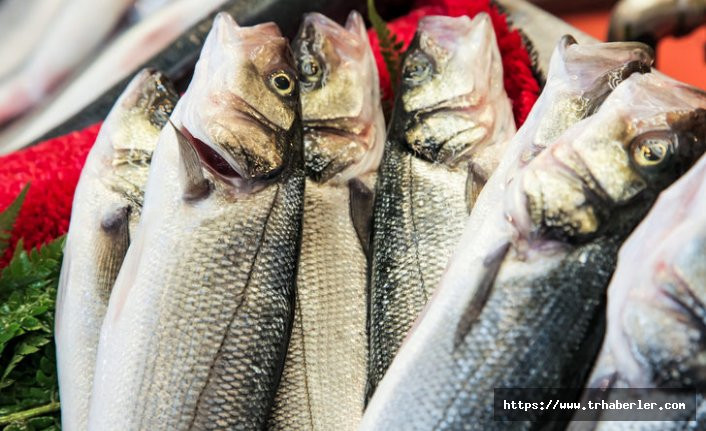 Balık nasıl tüketilir? Dikkat ölümle sonuçlanabilir ! Bu haberi okumadan balık yemeyin !