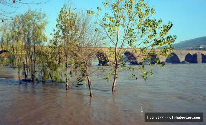 Dicle Nehri'nde su seviyesi azaldı, tehlike sürüyor