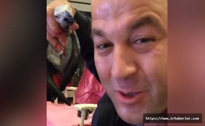 MasterChef Murat Özdemir kuşa işkence edip küfür etti - video izle