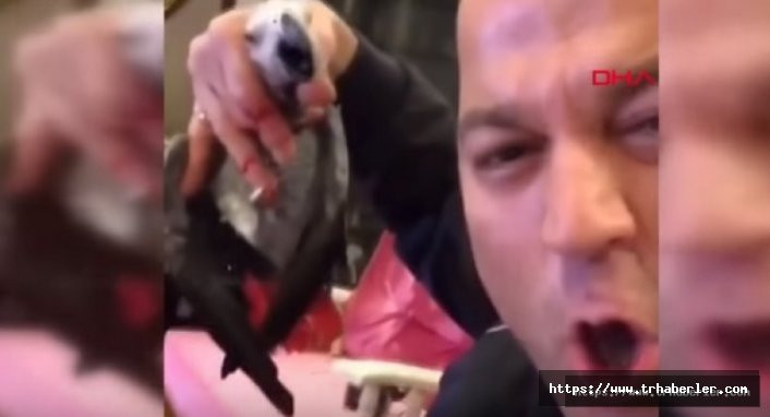 MasterChef Murat Özdemir papağan videosu izle - Akıl hastanesine yatırıldı