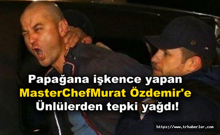 Papağana işkence yapan MasterChef Murat Özdemir'e ünlülerden tepki yağdı!