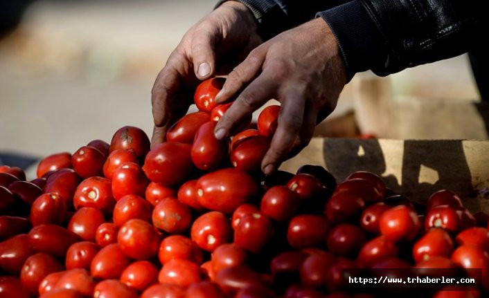 Rusya Türkiye’den daha fazla domates ithal etmek istiyor
