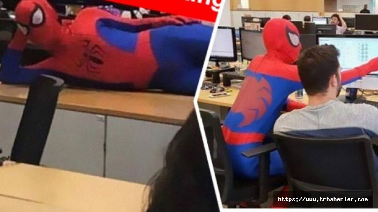 Bankadaki son iş gününe Örümcek Adam kostümüyle gelen çılgın - video izle