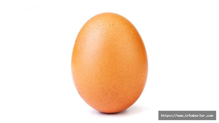 Beğeni rekoru kıran yumurta görselinin ticari hamle olduğu ortaya çıktı