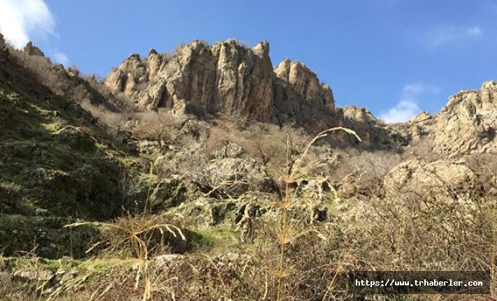 Cudi Dağı'nda PKK'lı teröristlerin kullandığı 6 yaşam alanı bulundu