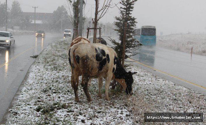 Doğu Anadolu Bölgesi'nde kar yağışı: Gece buzlanma ve don olayları olabilir