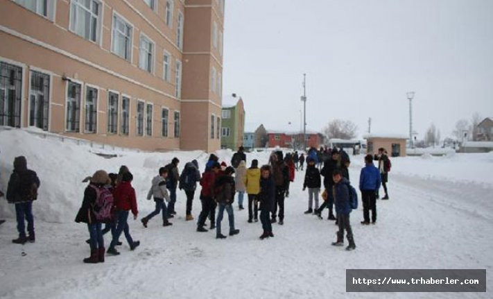 Eğitime kar engeli! İşte 17 Ocak günü okulların tatil olduğu yerler...