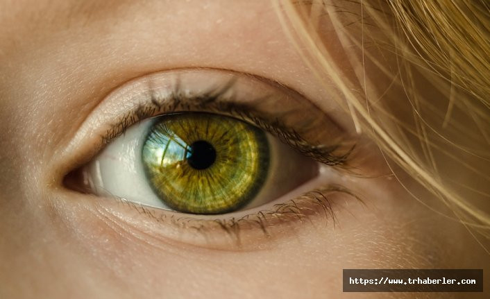 Göz rengi ile karakter arasında bağlantı var mı? İşte bilim tarafından kanıtlanan göz renginin karaktere etkisi